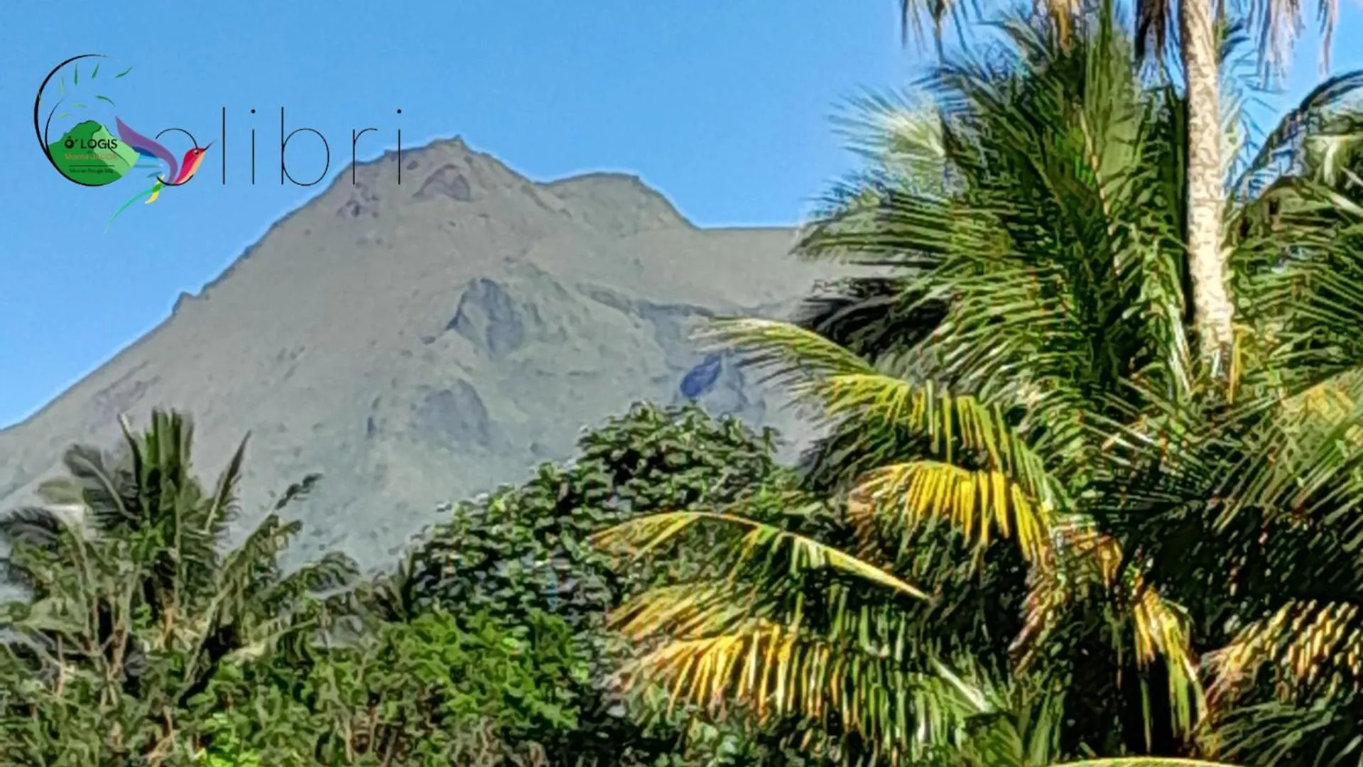 O Logis Du Morne Jacob 