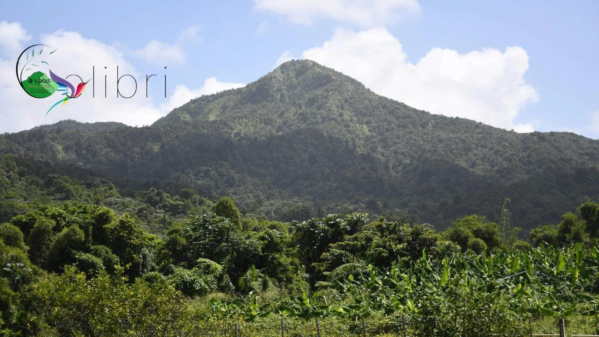 O Logis Du Morne Jacob 