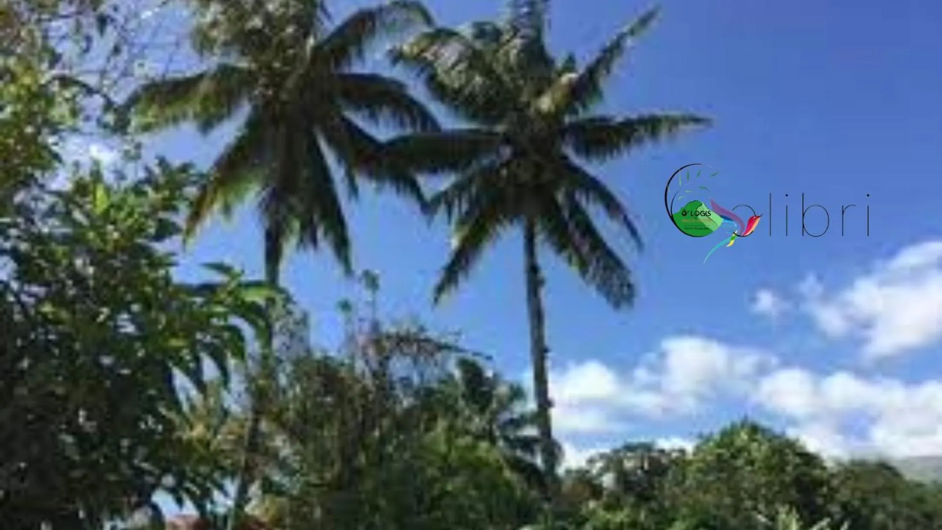 O Logis Du Morne Jacob 